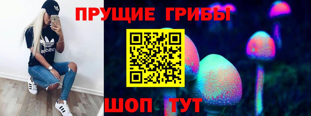 Псилоцибиновые грибы Psilocybine cubensis Минеральные Воды